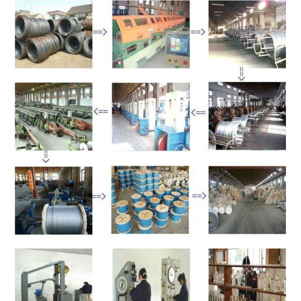 4mm-6mm 7x19 PVC Coated Steel Wire Gym Equipment Cable