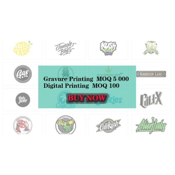 Chocolate Chip Cookie Empty Edible Bags 500mg Zipper Stand Up Food Pouch