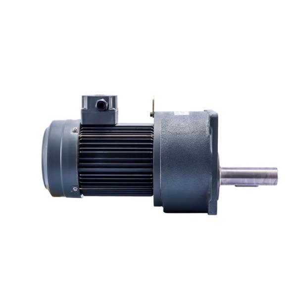 0.2kW 45rpm Geared Brake Motor Compact Geared Motor