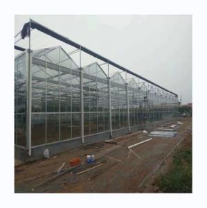 China Multi Span Glass Greenhouse Agricultural Equipment for Vegetable Fruits and Flowers wholesale