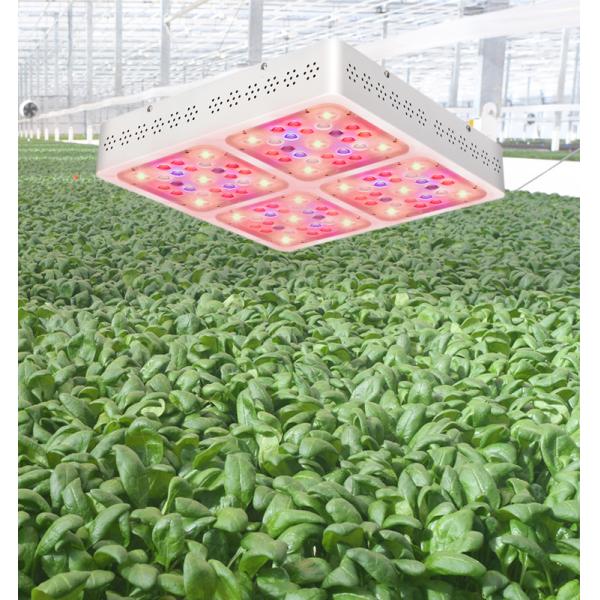 Medicinal Plants 520μmol/s Hydroponic COB led lamp C400 400W