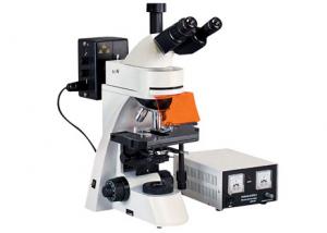 China Trinocular Led Fluorescence Microscope 1000X Kohler Illumination UV Light Microscope wholesale