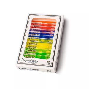 China 12pcs Children Customized Colorful Plastic Microscope Slides Used For Homeschool Teaching wholesale