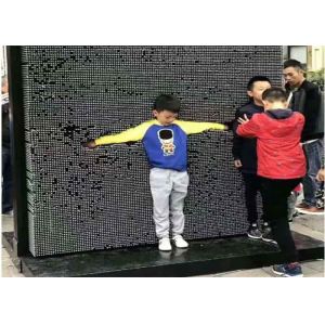 China Needle Pin Life Size Pin Wall For Amusement Art Board Steel Frame on sale