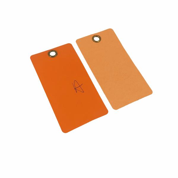 Custom Reusable Plastic Blank Tag Wholesale High Quality Plastic Tags