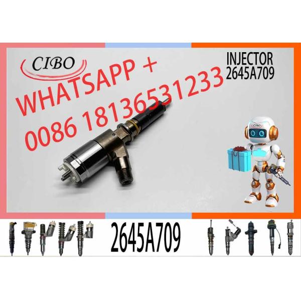 Diesel Engine Fuel Injector 282-0490 2645A709 10R-7673 10R-7676 2645A734 Engine Diesel C6.6 C6.4 C4.2 Injector