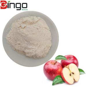 China Hot sell factory supply 100% natural high quality organic apple cider vinegar powder on sale