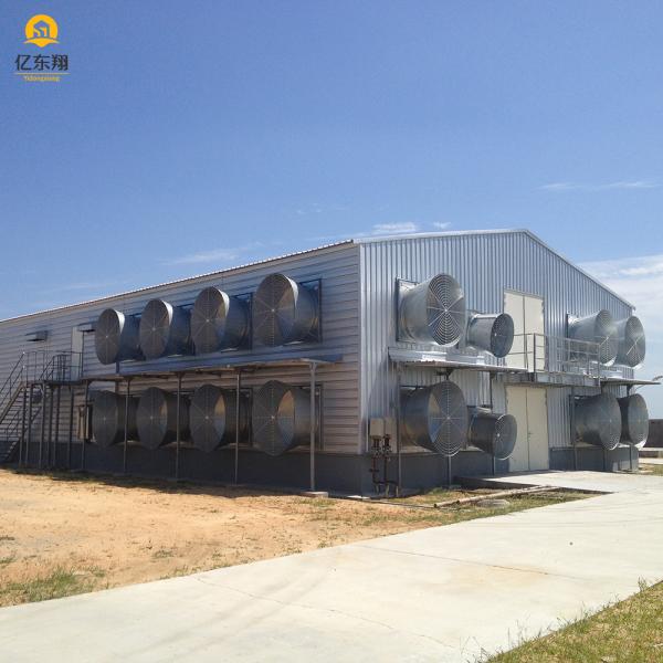 Quality Steel Structure Poultry House Q235 Q345 S355 Galvanized Roof for sale
