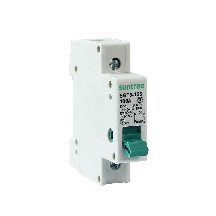 China Isolation Switch SGT8-125 Thermosetting MCB Circuit Breakers wholesale