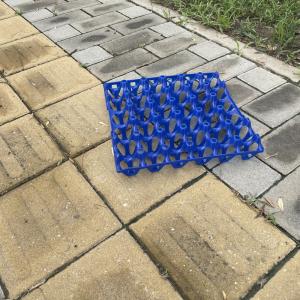 Eco Friendly Rectangular Plastic Egg Tray For Fresh Eggs