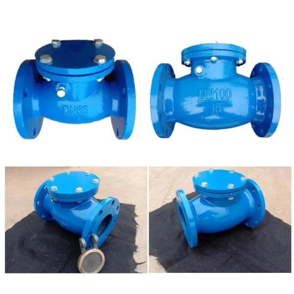 Double Flange Cast Iron ggg50 DI Swing Check Valve for Y Type Structure ANSI Standard