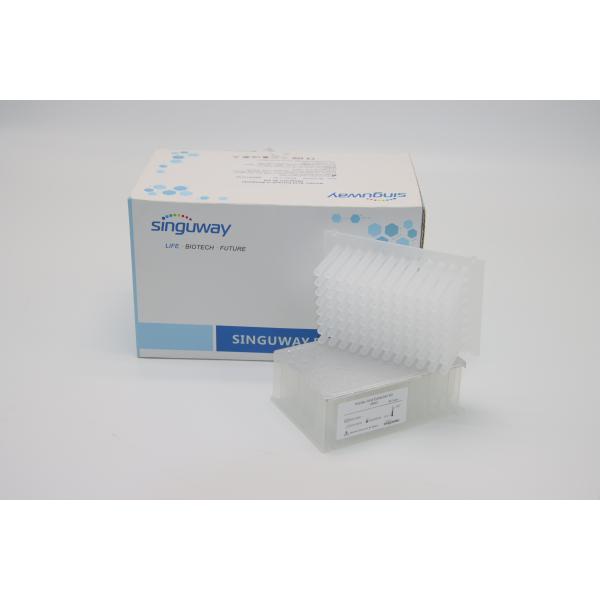 Lab IVD Viral Nucleic Acid Extraction Kit 9-18 Minutes ISO9001 For DNA RNA Extraction