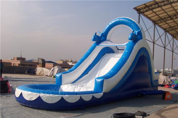 Quality Huge Dolphin Large Inflatable Slide Fire Resistance For Adults And Kids for sale