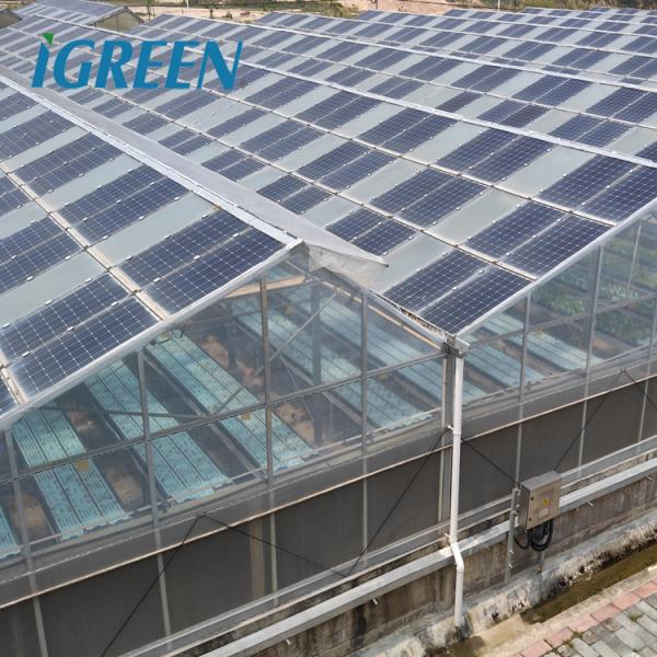 Solar Gray Polycarbonate Sheet Greenhouse For Aquaponics Farming System