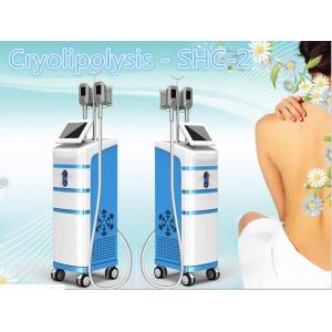 China 2016 newest!!!CE approval beauty tighten cryolipo cool shape system wholesale