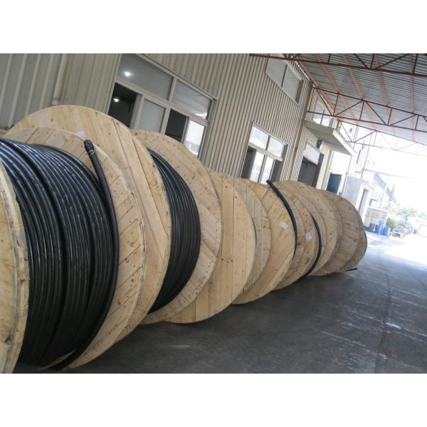PVC Construction XLPE 1 Core Swa Electrical Power Cable with Factory Price