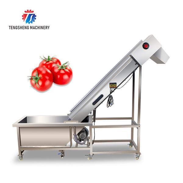 0.375KW Industrial Vegetable Processing Machine Citrus Passion Fruit Pre -