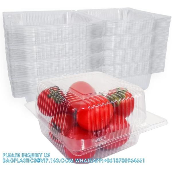 Square Hinged Food Container,Plastic Take Out Containers,Disposable Clamshell