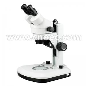 China White Learning Stereo Binocular Microscope High Eyepoint A23.0901-BL1 on sale