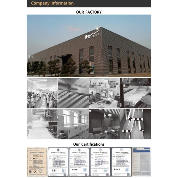 120LEDs Neon Rope Lights Dimmable 110V 220V Cuttable Remote Control Strip Light