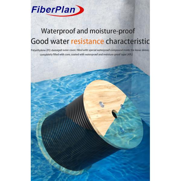 Figure 8 Armored Fiber Optic Cable Single Multi Mode 6 Core Steel Wire Supported GYXTC8S