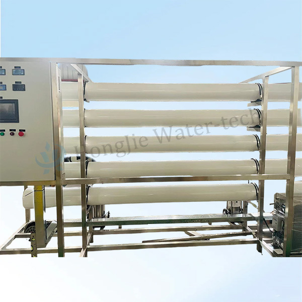 Quality 5T/H Ultrapure Water Plant with Secondary RO and EDI for sale