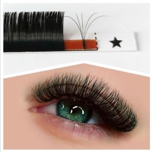 China Lightweight Classic Individual Eyelashes , C Curl 8mm Eyelash Extension wholesale