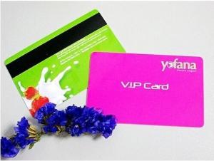 China Customized PVC Membership card magnetic stripe card with factory price on sale