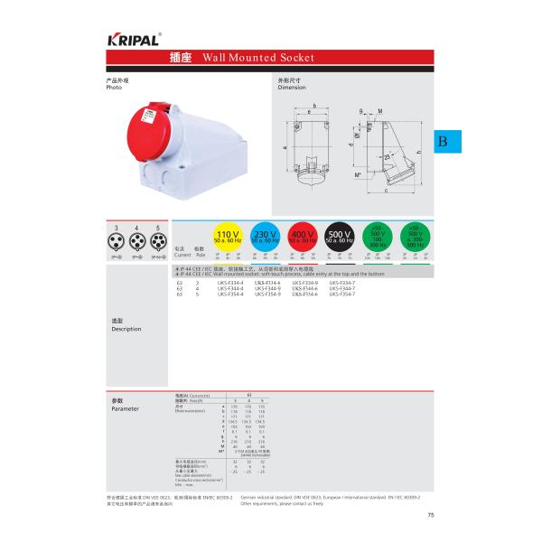 63A IP44 Waterproof European Surface Mounted Socket IEC Standard