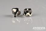 Single Or Multiple Restorations Dental Abutments And Bars With Internal Hex