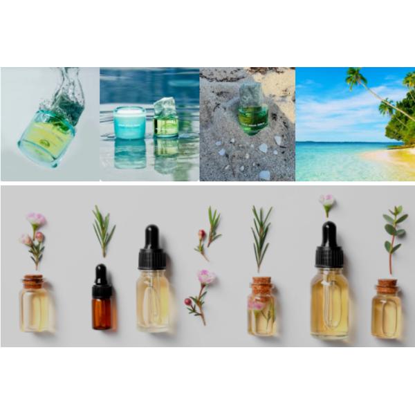 High Quality Pure Marine Vitality Essence Aqva Marine Fragrance Essence