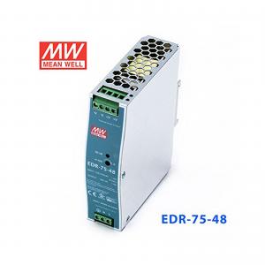 China MEAN WELL 75W/1.6A 48VDC Industrial DIN Rail Power Supply wholesale