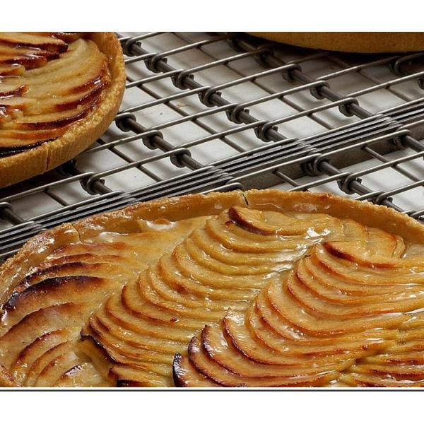 Plain Weave Conveyor Wire Mesh Belt 201 304 316l 310s Stainless Steel Material