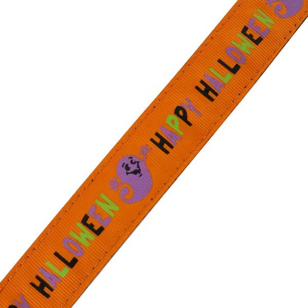 Strong Comfortable Retractable Dog Leash Pet Dog Lead With Black Claps