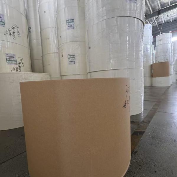 Hot Sale Custom Printing Double PLA Coated White Paper Roll of Craft Paper for Coffee Cups