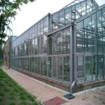 China Vegetable Plant Commercial Glass Greenhouse Span Width 9.6 / 10.8 / 12m for sale