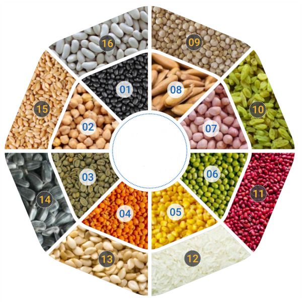 Eight Chutes 504 Ejectors RGB Color Sorter For Multi Purpose Sorting