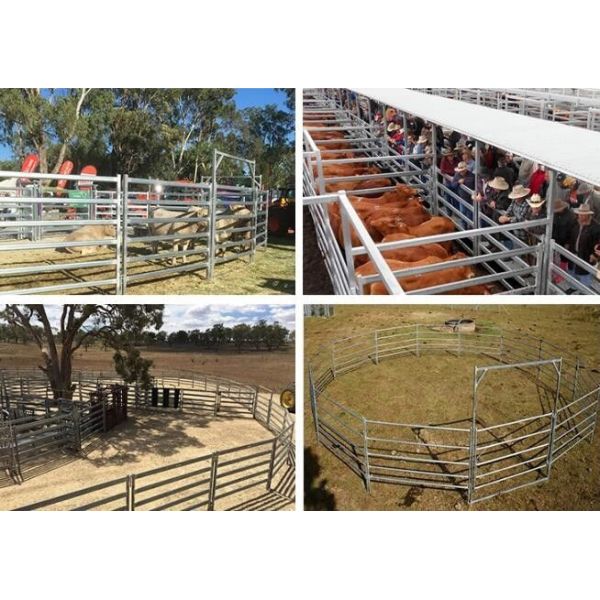 Metal Sqaure Pipe 1.5x2.1m Heavy Duty Cattle Panel For Farm