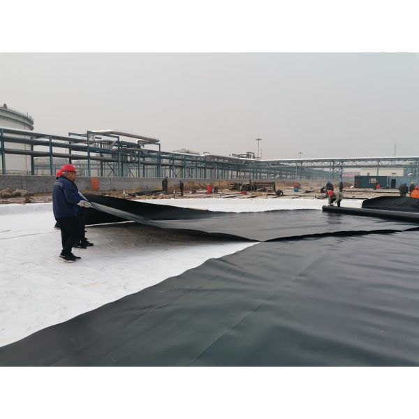 HDPE Geomembrane Artificial Pool Fish Pond Lake Tank Liner for Onsite Training Service