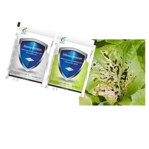 China Unioasis Pesticide Fungicide 37% Difenoconazole For Scab Anthracnose Blight wholesale