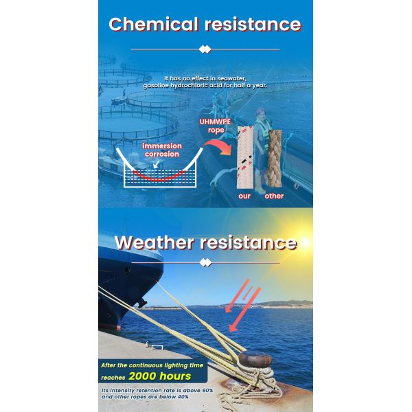 12 Strand UHMWPE Rope 220m Length 46mm Diameter Ultra Strong Abrasion-Resistant