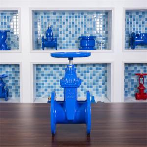 China Copper Nut Resilient Seat Gate Valve GGG40 Pn16 Double Flanged Gate Valve on sale