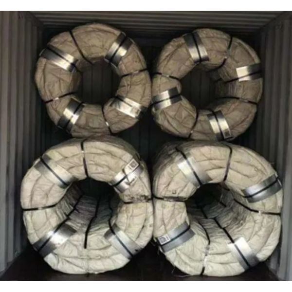 Ss430 Stainless Steel Concertina Razor Wire Fence