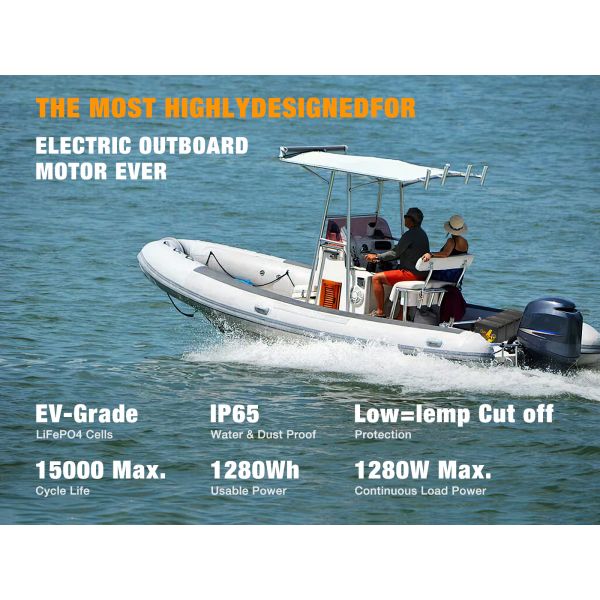 Exide 12V 24 48V Volt 5 7 9 12 14 18 20 24 28 35 50 100 110 120 150 200 300Ah Amp Hour Hr Deep Cycle Lifepo4 Lithium Ion Battery