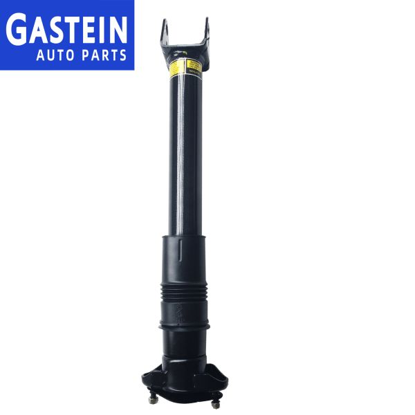 251 320 22 31 Rear Airbag Suspension For W251 R Class