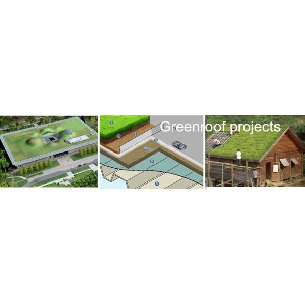 8mm-20mm Thickness Greenroof Dimple Mat Drainage Board with PE Material 2m Length