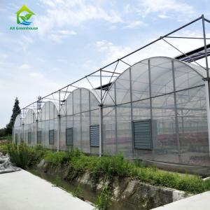 China 6m 8m 9m Span Clear Plastic Film Greenhouse Vegetable Farming on sale