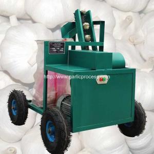China Automatic Discharging Fresh Garlic Root and Leaf Cutting Machine wholesale
