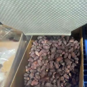 Date Sorting Machine Powered By Deep Learning Technology High Accuracy 8 Lanes 8