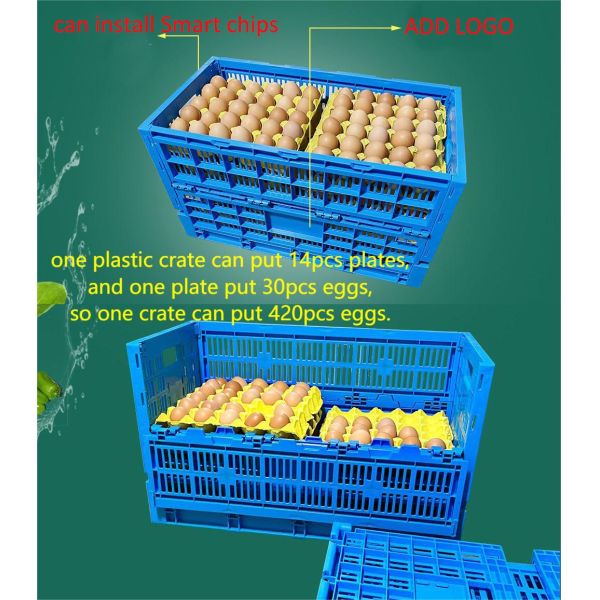 Foldable PP PE Mesh Egg Crate Storage Boxes in Variety Color for Agricultural Harvest